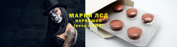 гашик Новокубанск