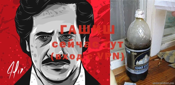 мдпв Новозыбков