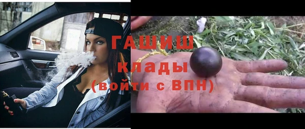 мдпв Новозыбков
